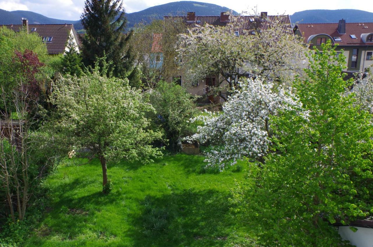 Fewo Georgenberg Гослар Екстериор снимка